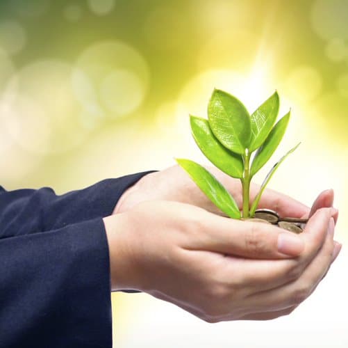 Hands holding a tiny plant and some change.